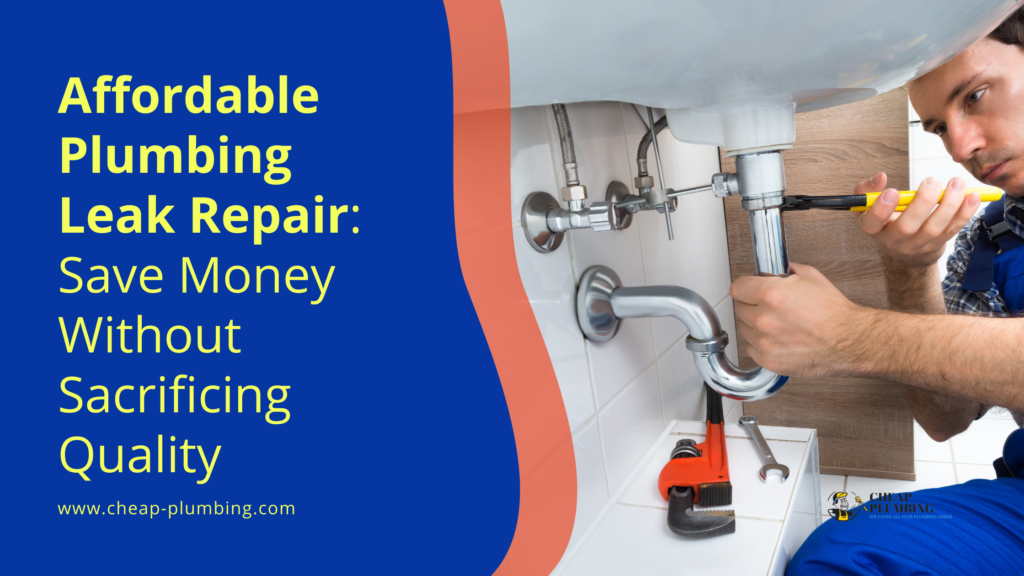 Affordable Plumbing Leak Repair Save Money Without Sacrificing Quality Plumbing Leak Repair